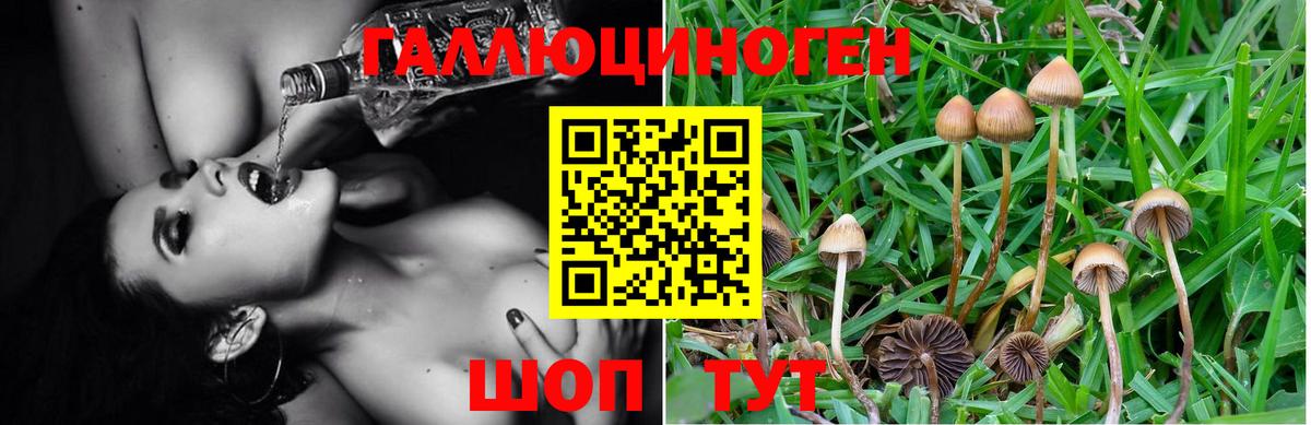 LSD-25 Лабинск