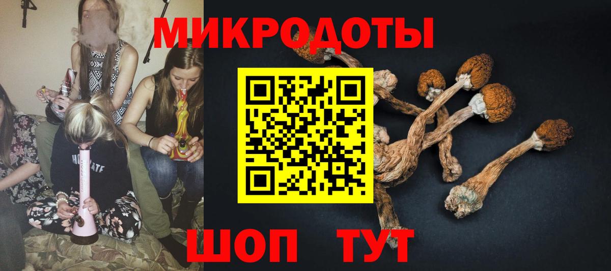 Псилоцибиновые грибы GOLDEN TEACHER  Вход с VPN  Лабинск 